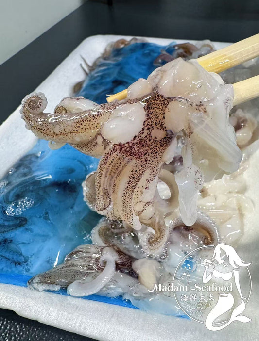 Yari Ika Tentacle Sashimi-Grade (frozen)