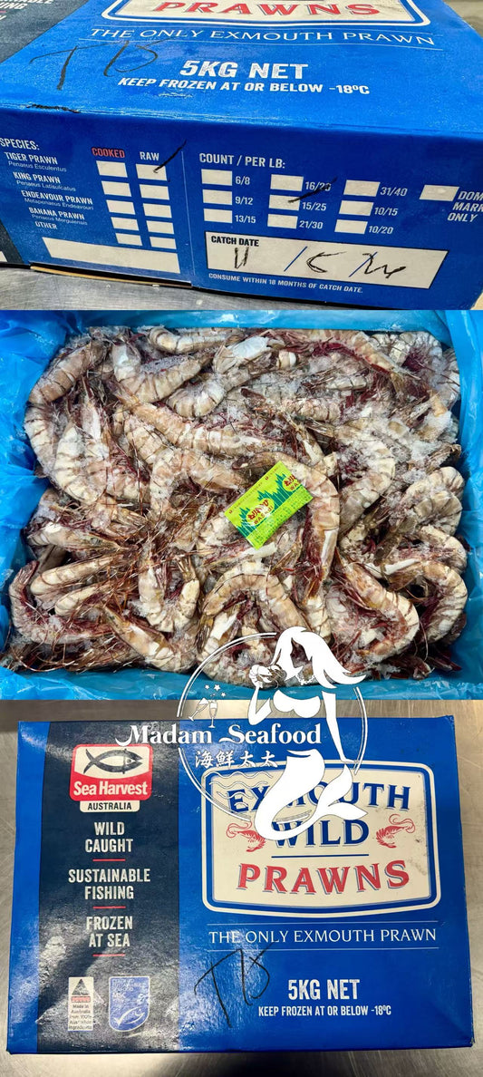 WA Wild Caught Tiger Prawn (Raw) (frozen) 【Medium 15/25】