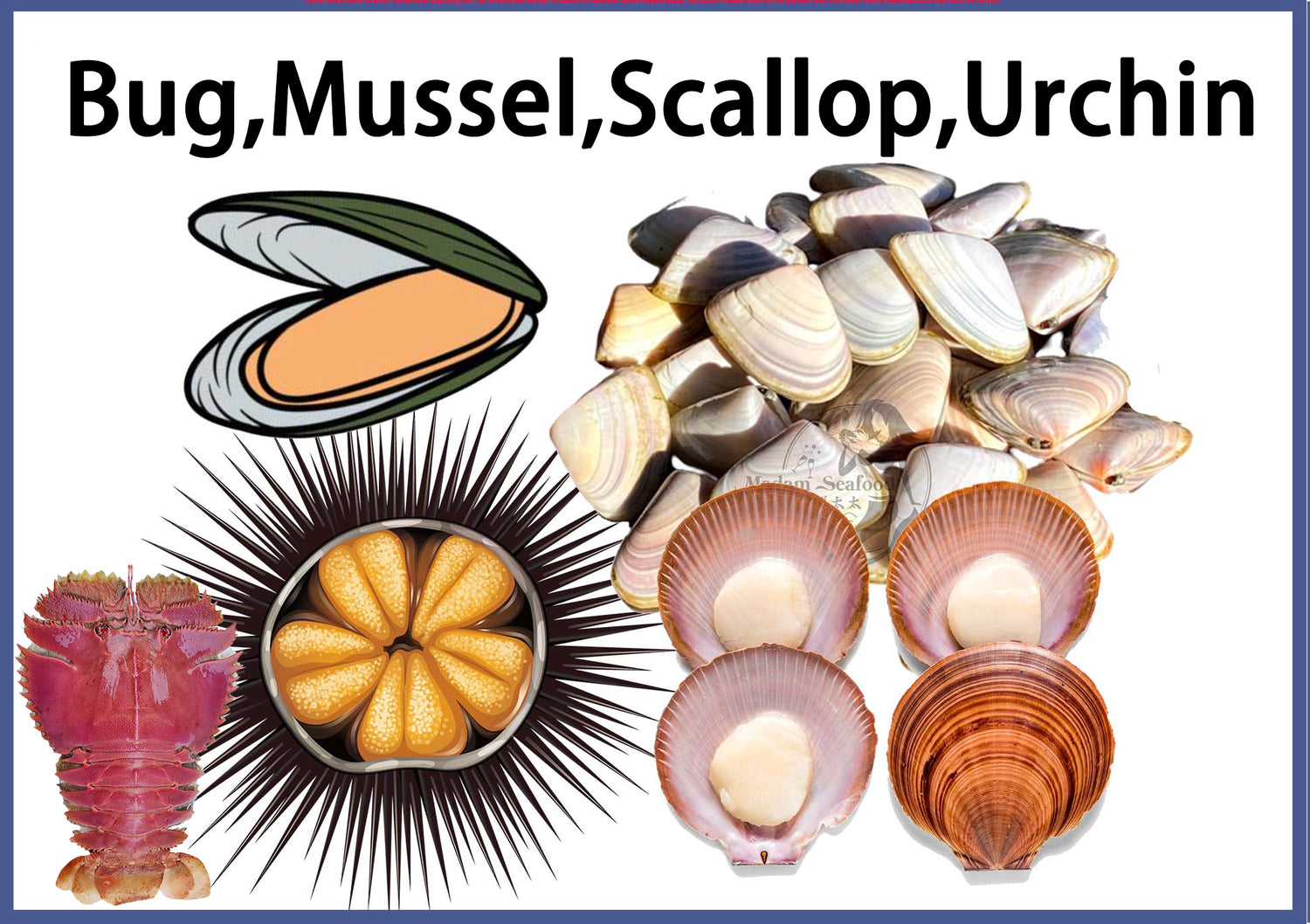 Shellfish