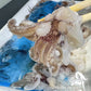 Yari Ika Tentacle Sashimi-Grade  (frozen)