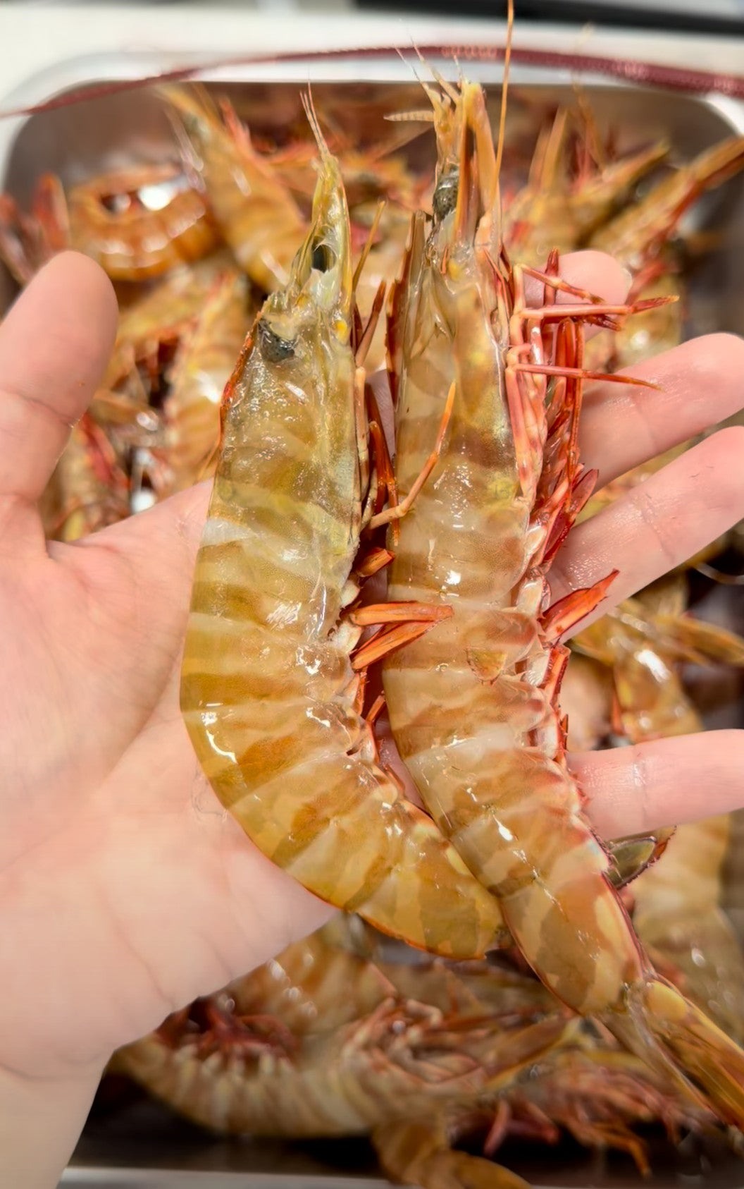 prawns and scampi