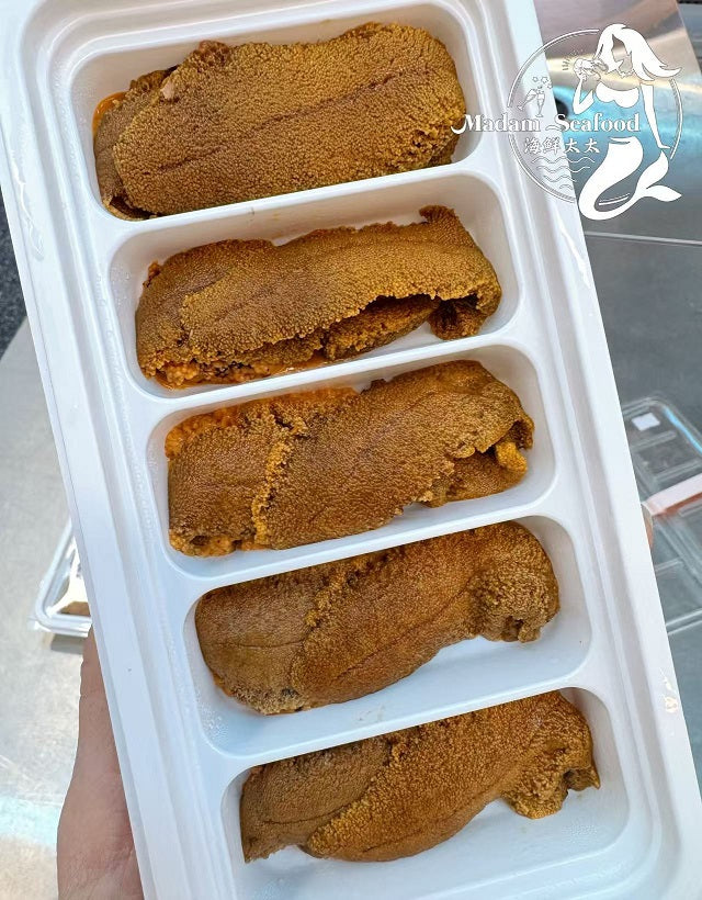 Sea Urchin Short Spine Roe 10A