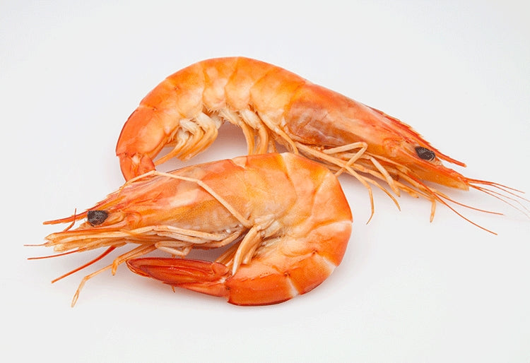 SA King Prawn (Medium 16/20) (Cooked) (frozen)